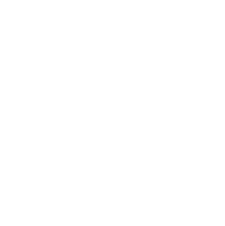 Automotive Dealerships
