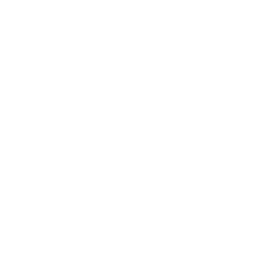 Property & Real Estate